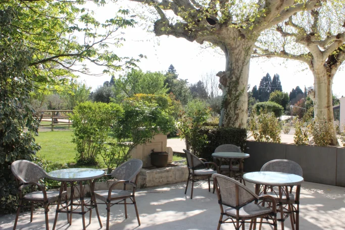 Terrasse sous les platanes centenaires