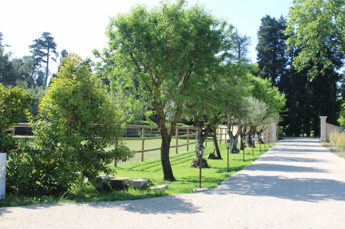 Jardin provençal avec des oliviers & des amandiers