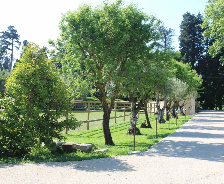 Piscine du Mas des Fontaines 5X11 mètres